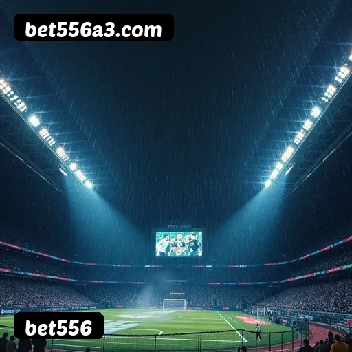 FAQ bet556 Brasil - Perguntas frequentes sobre bônus, PIX, RTP, APP mobile e VIP